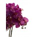 Орхидея темно-розовая в горшке 29BJ-JF218