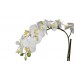 Орхидея белая в горшке 29BJ-170-06