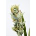 Орхидея Cymbidium искусственная цвет лайм в горшке