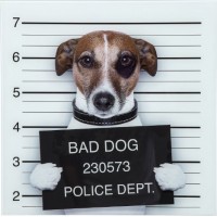 Картина стекло "Bad Dog" Kare 37289