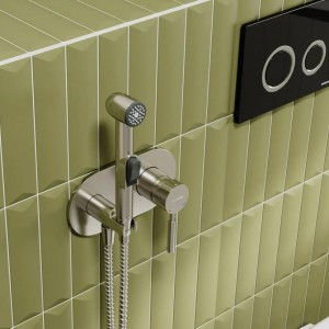 Встраиваемый смеситель для душа с гигиенической лейкой WasserKRAFT Wern 4200 (4238), никель