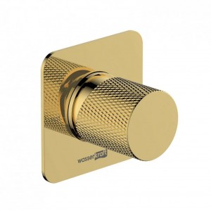 Смеситель для душа WasserKRAFT Ems 7600 (7651), глянцевое золото